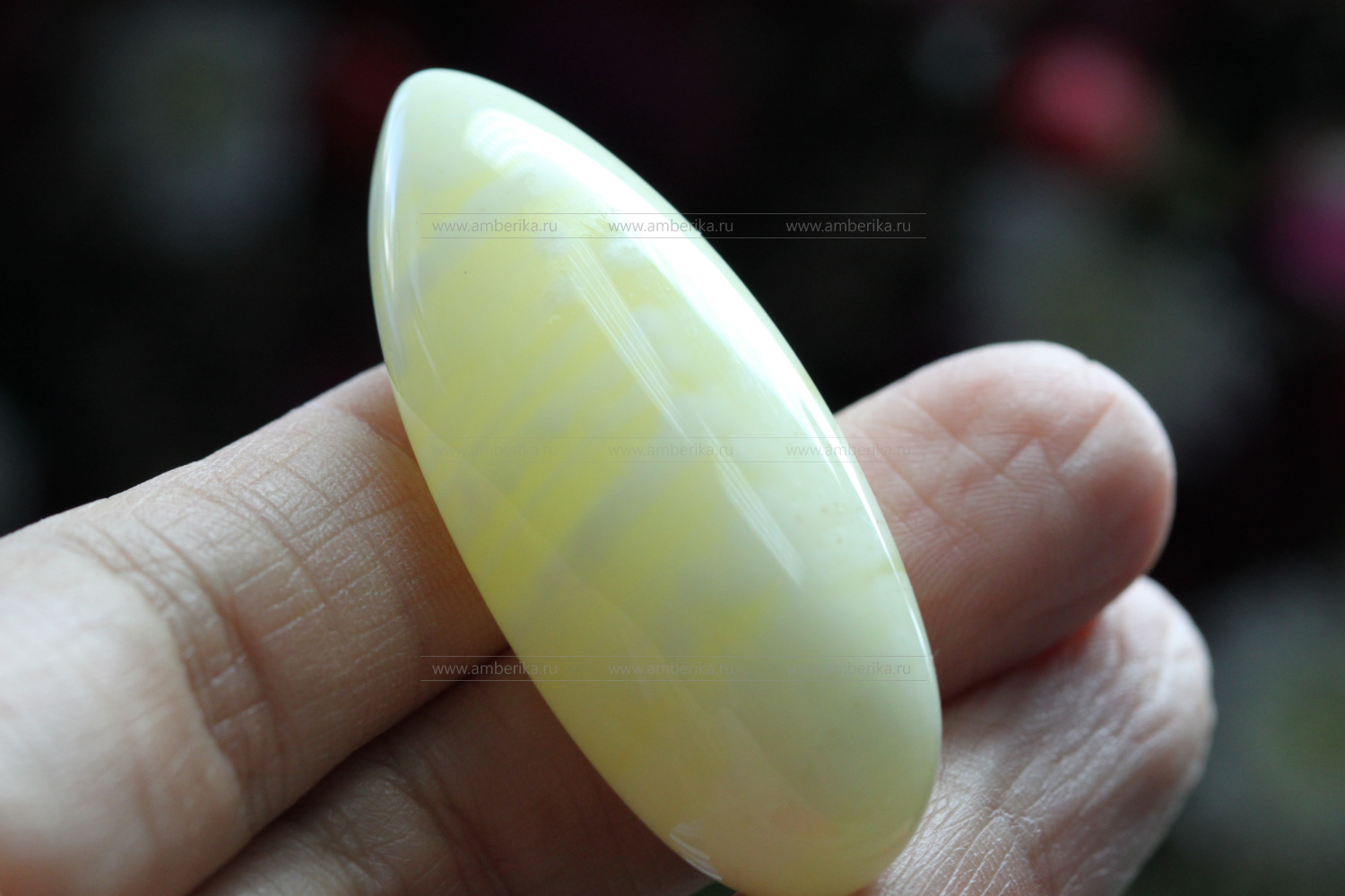Янтарь природный карибский форма "Овал". Артикул 11333, артикул 11333